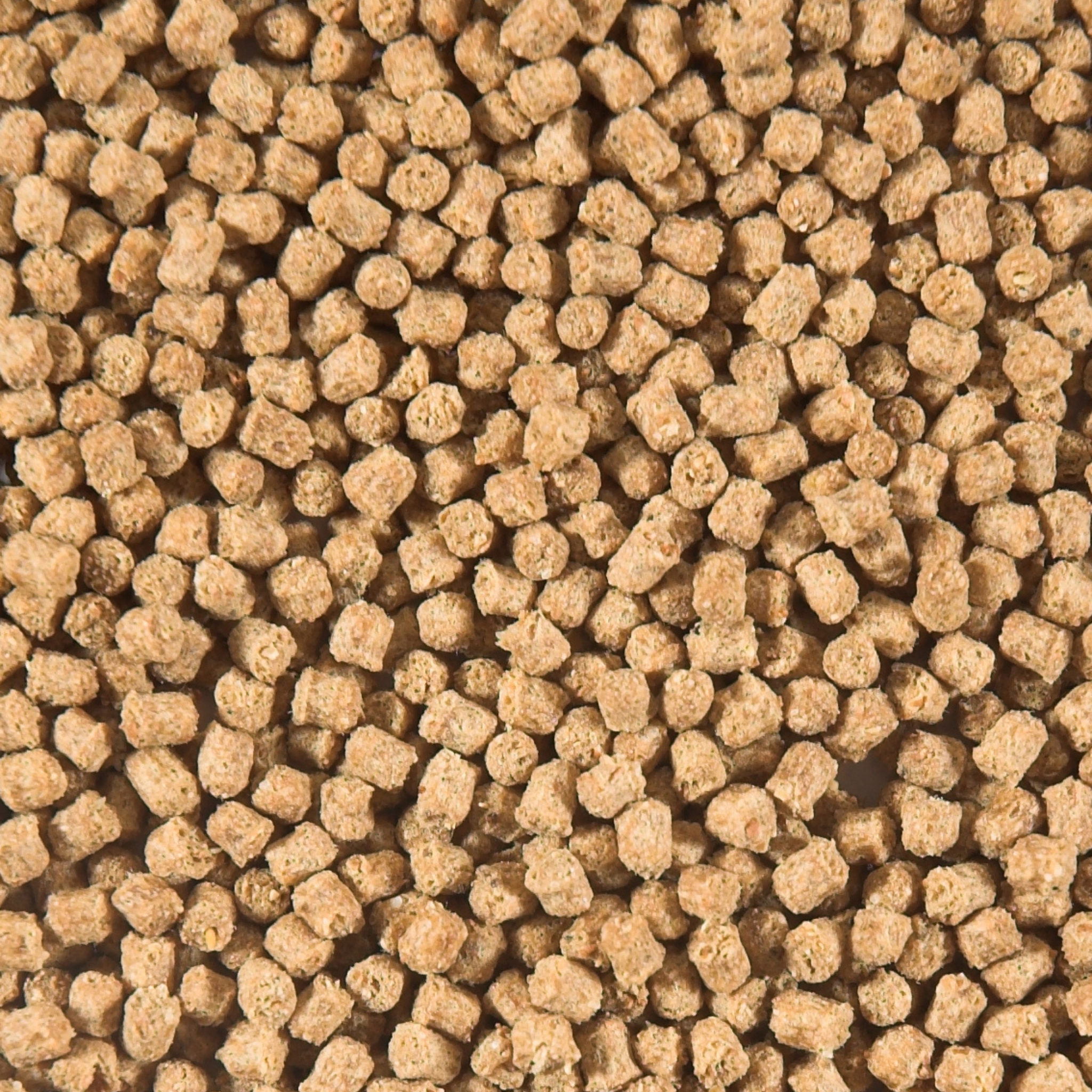 Winter Wheat Food 3 mm