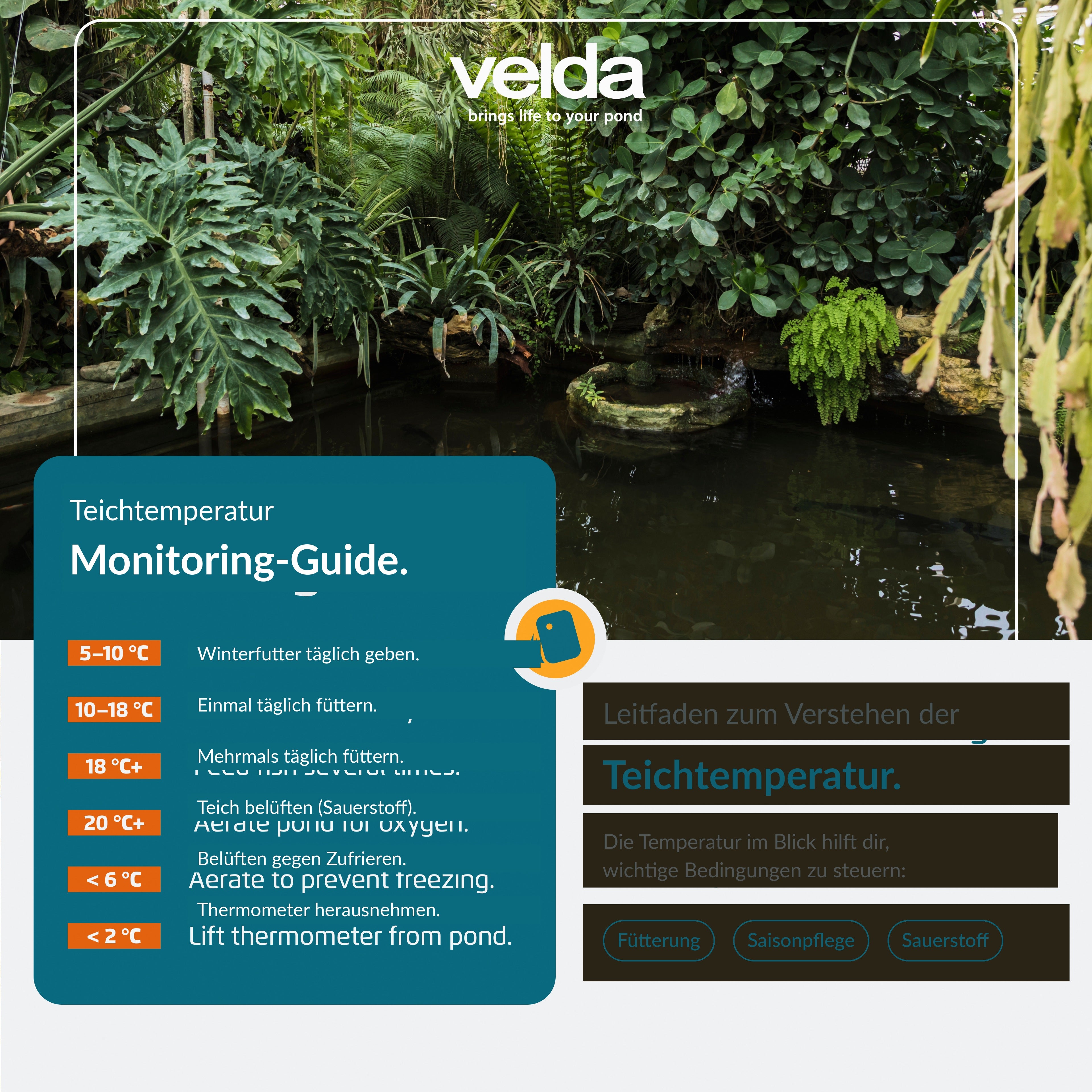 Velda Produktbild (DE)